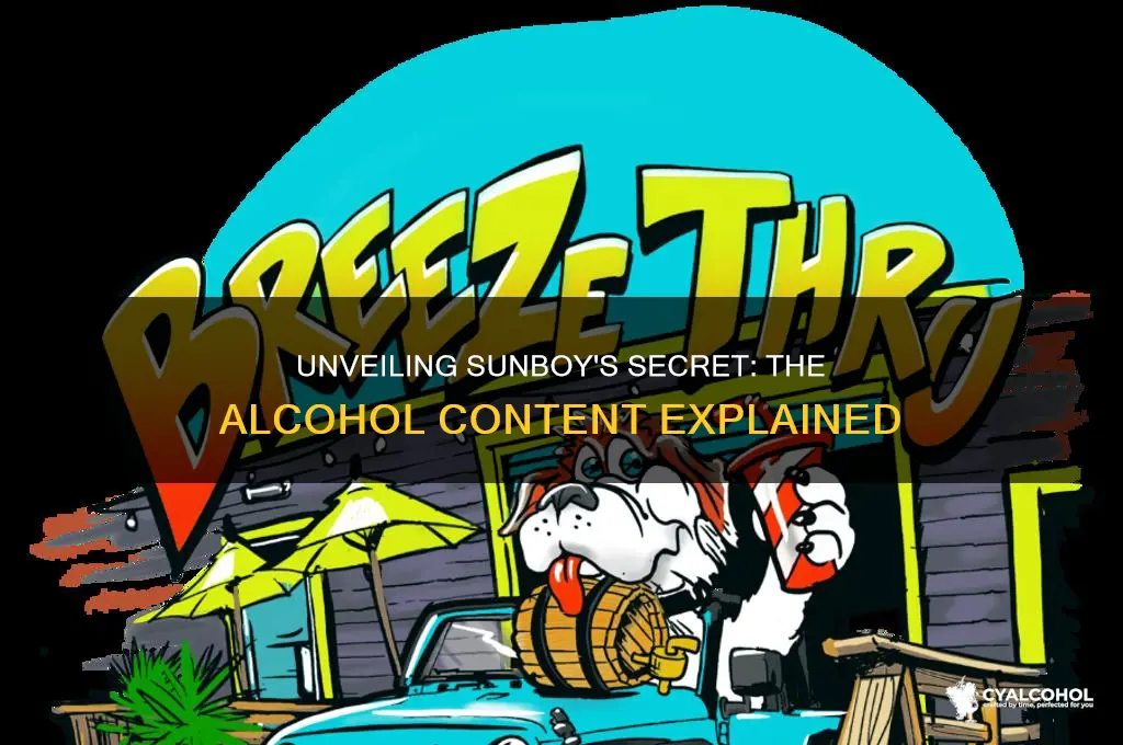 what alcohol is in sunboy