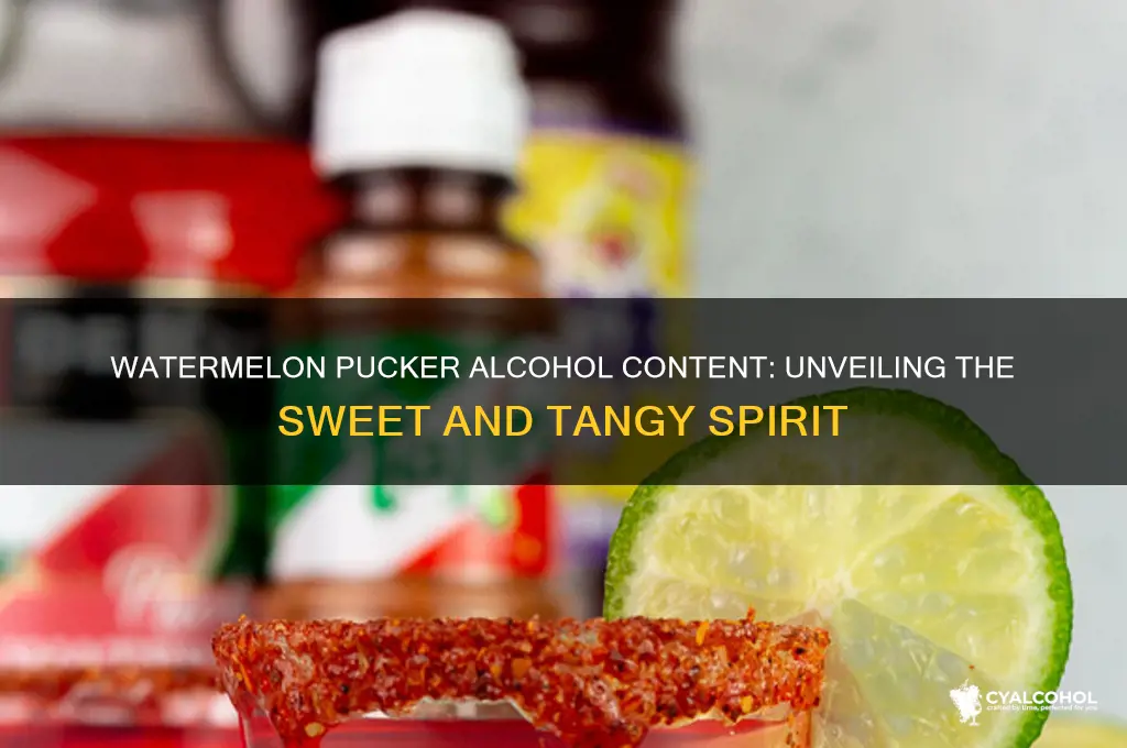 what alcohol is in watermelon pucker