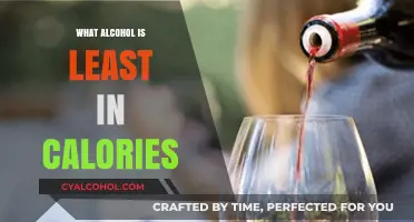 Low-Calorie Alcohol Options: Discover the Lightest Drinks for Your Diet