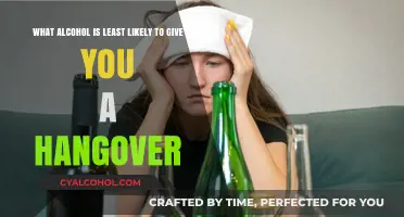 Best Alcoholic Drinks to Prevent Hangovers