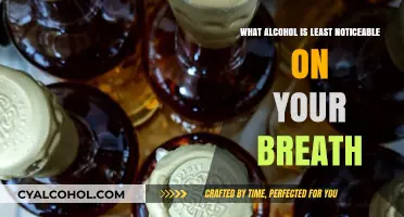 Subtle Sips: Alcohols Least Likely to Leave a Breath Trace