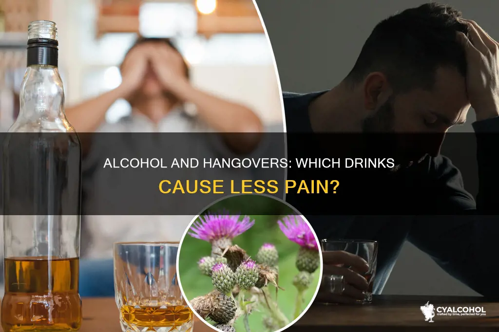 what alcohol is less likely to give you a hangover
