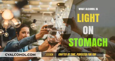 Gentle Sips: Discovering Stomach-Friendly Alcohol Options for Comfort