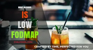Low FODMAP Alcohol Guide: Safe Drinks for Sensitive Stomachs