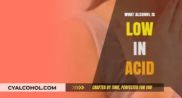Discover Low-Acid Alcohol Options for a Gentler Drinking Experience