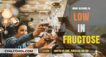 Low-Fructose Alcohol Options: Discover Drinks That Won't Spike Your Sugar