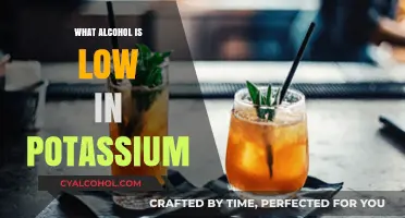 Low-Potassium Alcohol Options: Safe Choices for Kidney-Friendly Drinking