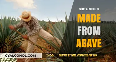 Agave's Liquid Gold: Discovering the Alcohol Crafted from This Plant