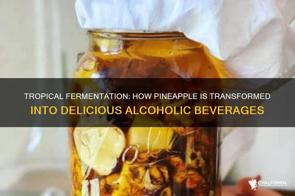 what alcohol is made from pineapple