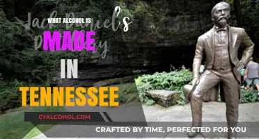 Tennessee's Signature Spirits: Exploring the State's Iconic Alcoholic Creations