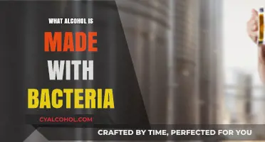 Brewing with Bacteria: Unveiling Alcohol's Microbial Magic