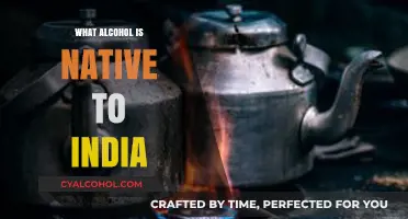 Exploring India's Indigenous Alcoholic Beverages: A Cultural Journey