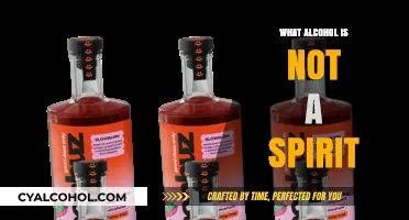 Exploring Non-Spirit Alcoholic Beverages: What Doesn't Qualify as a Spirit?