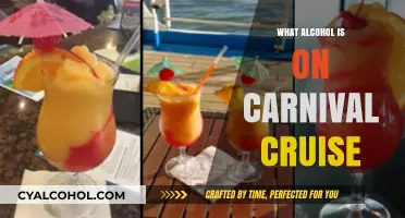 Sipping at Sea: Carnival Cruise's Alcohol Options Explained