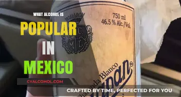 Exploring Mexico's Favorite Alcohol: Tequila, Mezcal, and Beyond