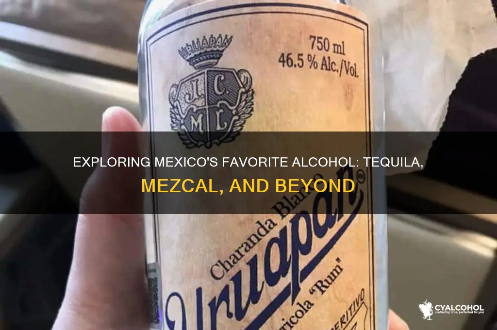 what alcohol is popular in mexico