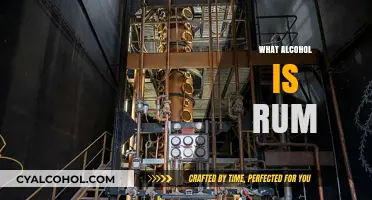 Exploring Rum: Origins, Distillation, and Unique Flavors of This Spirit