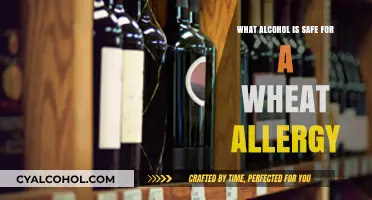 Wheat Allergy and Alcohol: Safe Options for Gluten-Free Drinking
