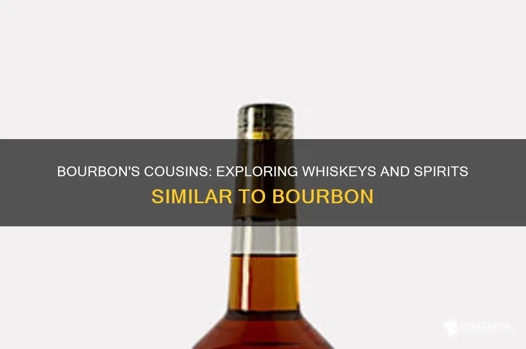 what alcohol is similar to bourbon