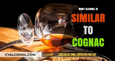 Exploring Cognac Alternatives: Similar Spirits to Elevate Your Tasting Experience