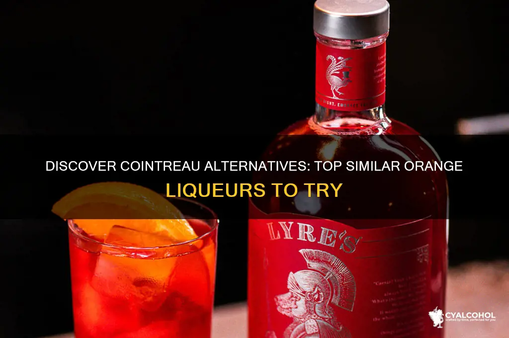 what alcohol is similar to cointreau