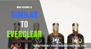 Exploring High-Proof Spirits: Alternatives to Everclear for Bold Mixology