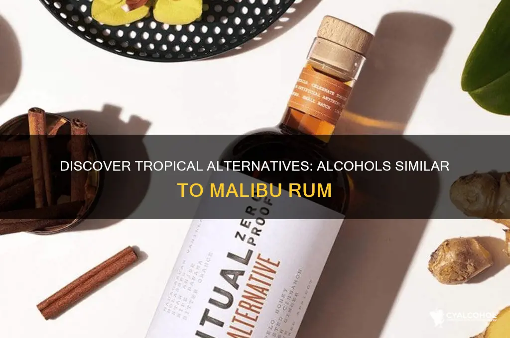 what alcohol is similar to malibu