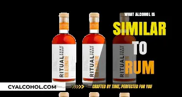 Exploring Rum Alternatives: Similar Spirits to Enhance Your Cocktail Experience
