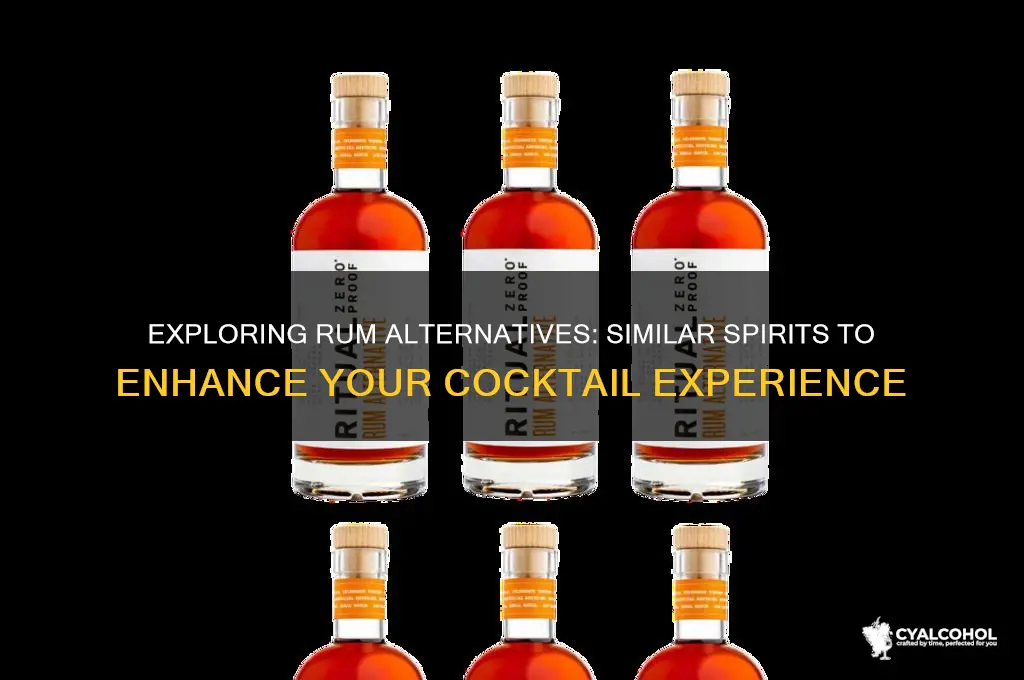 what alcohol is similar to rum