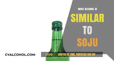Discover Soju's Global Cousins: Similar Alcoholic Beverages Worldwide