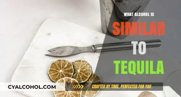 Tequila Alternatives: Discover Similar Spirits to Elevate Your Cocktails