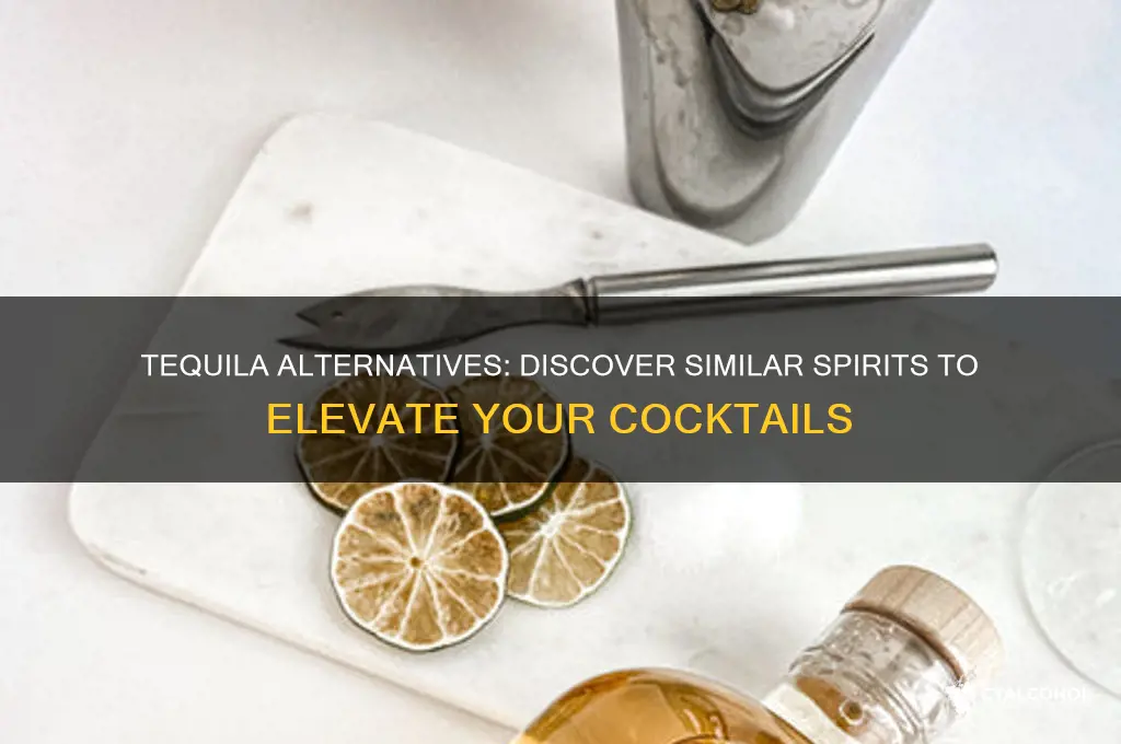 what alcohol is similar to tequila