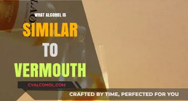 Exploring Vermouth Alternatives: Similar Alcoholic Beverages to Enhance Cocktails