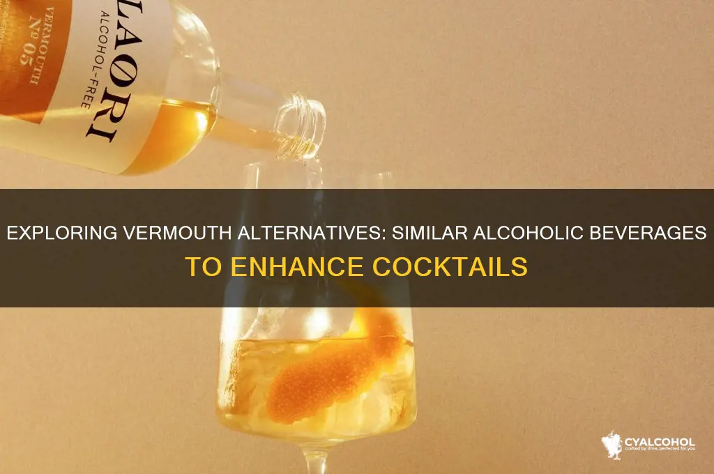 what alcohol is similar to vermouth