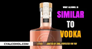 Vodka Alternatives: Discover Similar Spirits for Your Next Cocktail Adventure