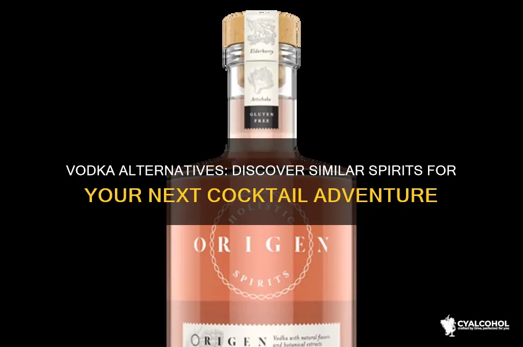 what alcohol is similar to vodka
