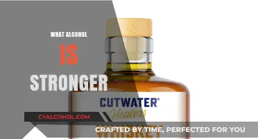 Exploring High-Proof Spirits: Which Alcohol Packs the Strongest Punch?