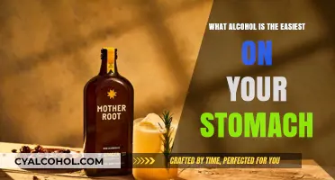Gentle Sips: Discovering the Stomach-Friendly Alcohol Options