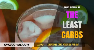Low-Carb Alcohol Guide: Discover Drinks with Minimal Carbohydrates