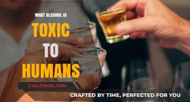 Toxic Alcohol Alert: Identifying Harmful Substances and Their Risks