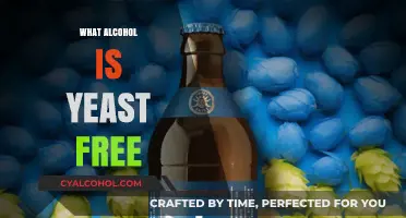 Yeast-Free Alcohol Options: Discover Drinks Without Fermentation Fuss
