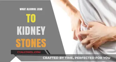 How Alcohol Consumption Increases Your Risk of Developing Kidney Stones