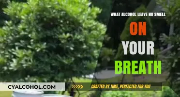 Alcohol Options That Won’t Leave a Smell on Your Breath
