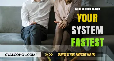 Speeding Up Sobriety: Which Alcohol Exits Your Body Fastest?