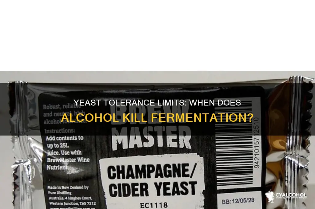what alcohol level does yeast die