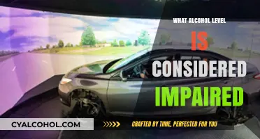 Understanding Impairment: What Alcohol Level Affects Driving Ability?