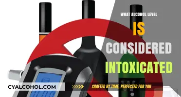 Understanding Intoxication: What Alcohol Level Signals Impairment?