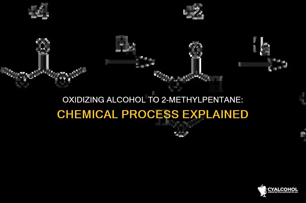 what alcohol oxidized into 2-methylpentane