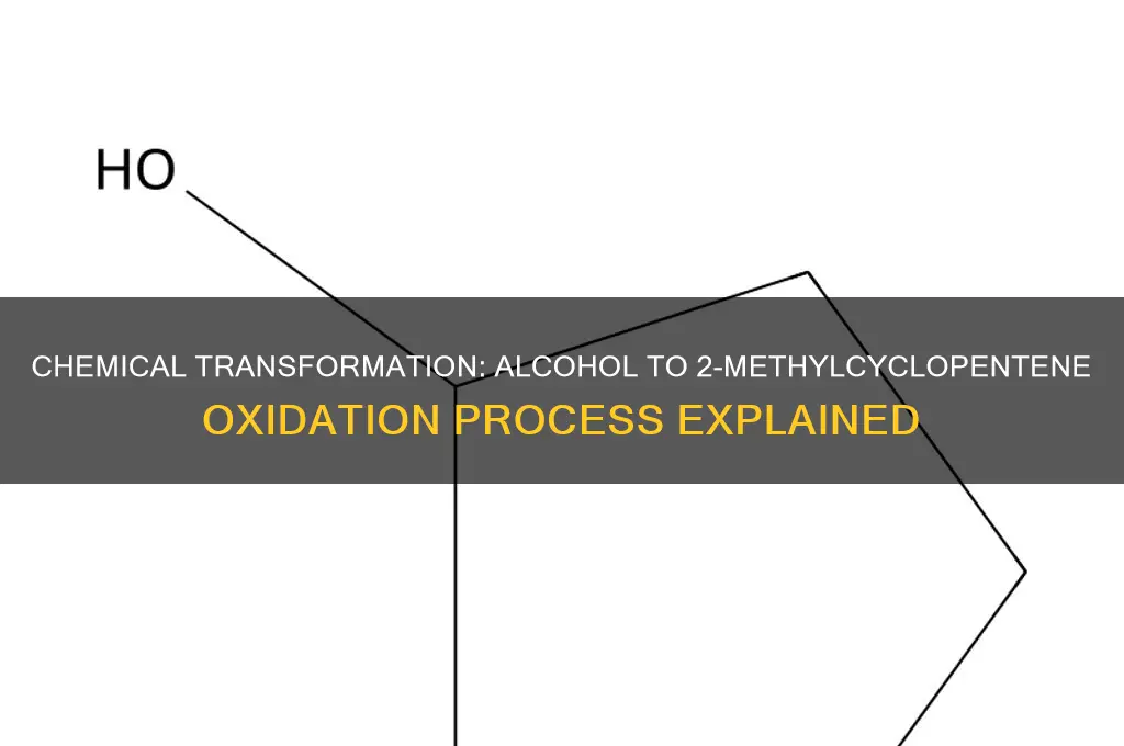 what alcohol oxidizes into 2-methylcyclopentene