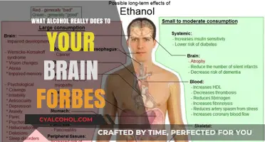 How Alcohol Impacts Your Brain: Forbes Explains the Science